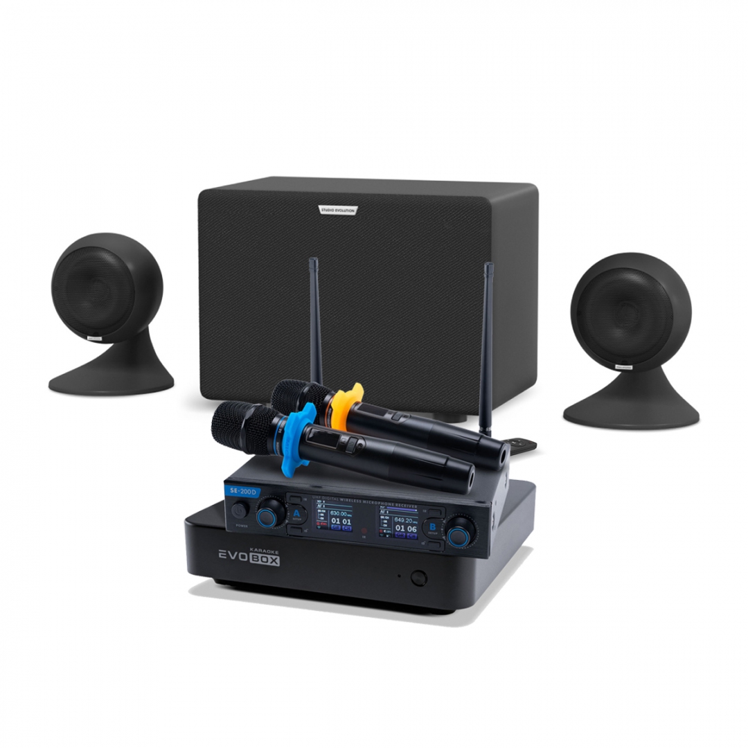 караоке-комплект EVOBOX + EvoSound Sphere 2.1 в Новошахтинске