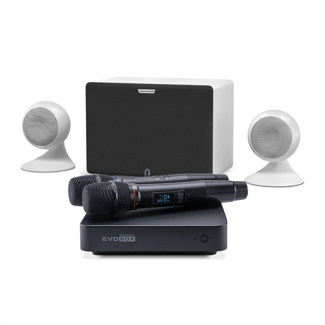 караоке-комплект EVOBOX Classic + EvoSound Sphere 2.1 в Новошахтинске