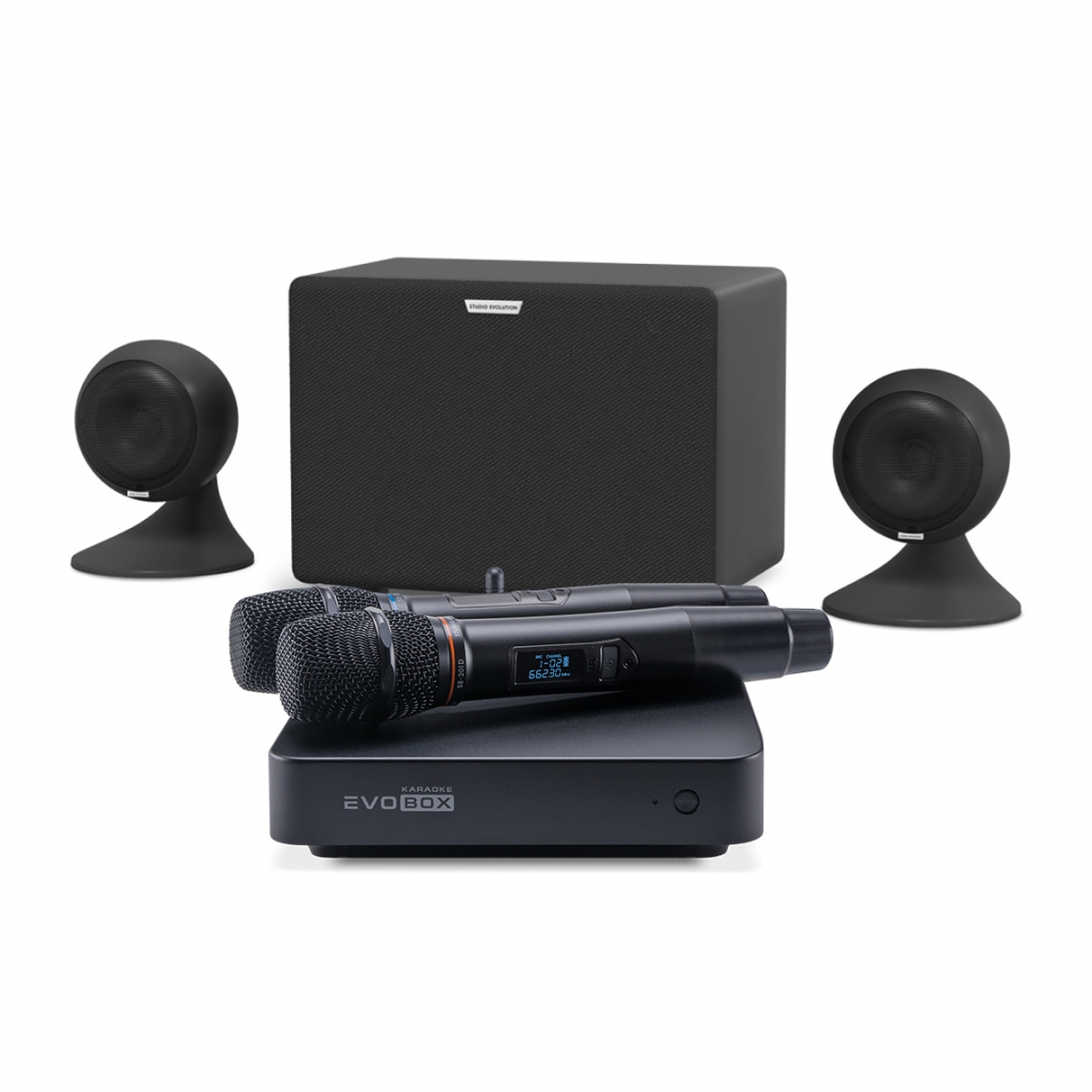 караоке-комплект EVOBOX Plus + EvoSound Sphere 2.1 в Новошахтинске