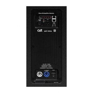 Активная акустическая система AST-310A в Новошахтинске