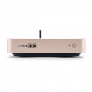 EVOBOX Plus караоке-система для дома в Новошахтинске