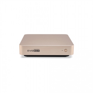 EVOBOX с микрофонами в Новошахтинске